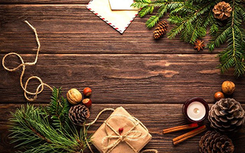 Exklusive Strandkörbe